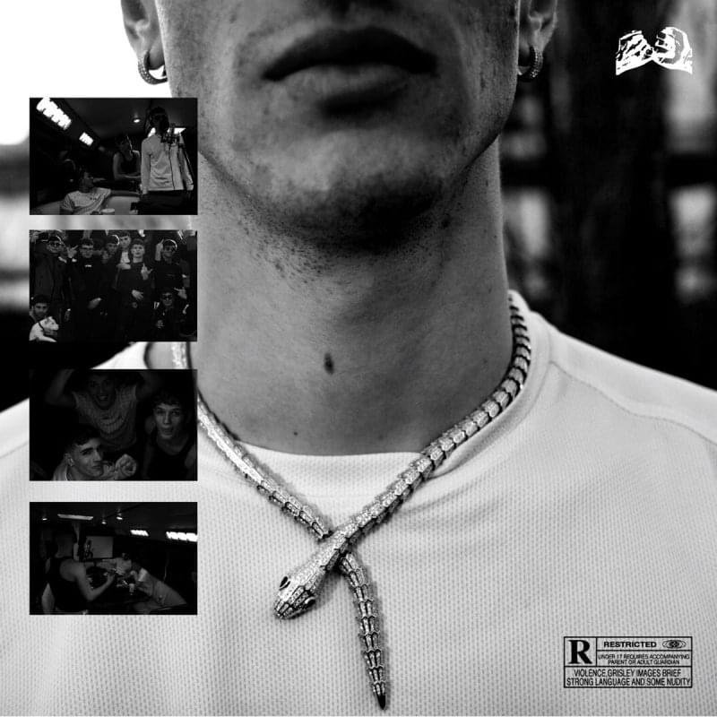 Cover della canzone 'Vipere II' di Sgribaz ft. PRACI