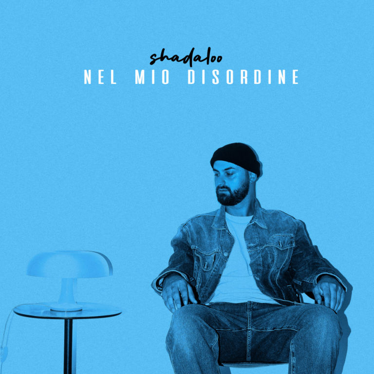 Cover dell'album 'Nel Mio Disordine - EP' di Shadaloo