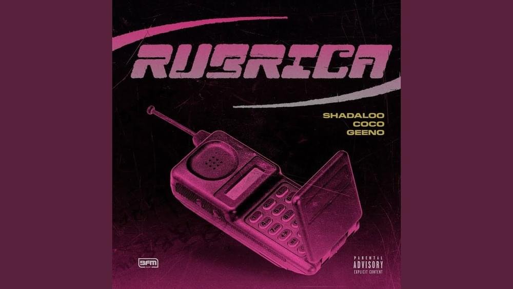 Cover della canzone 'Rubrica' di Shadaloo ft. CoCo