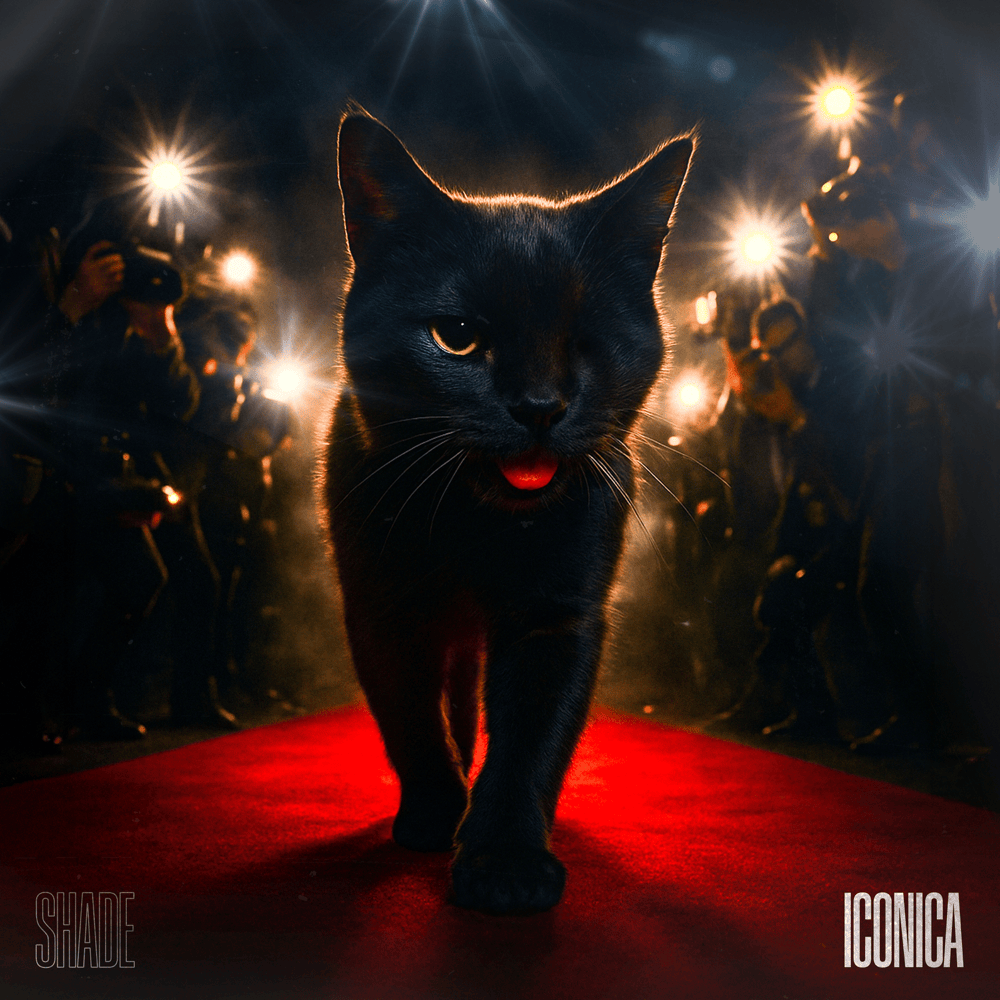 Cover della canzone 'Iconica' di Shade