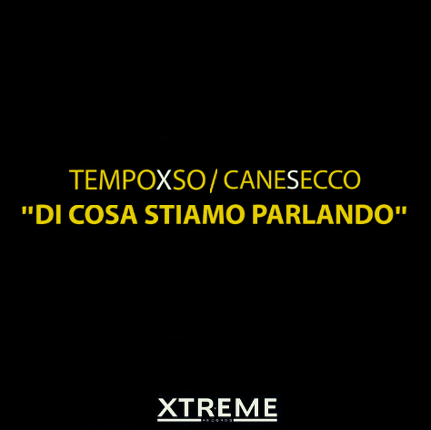 Cover della canzone 'Di cosa stiamo parlando' di TempoXso ft. CaneSecco