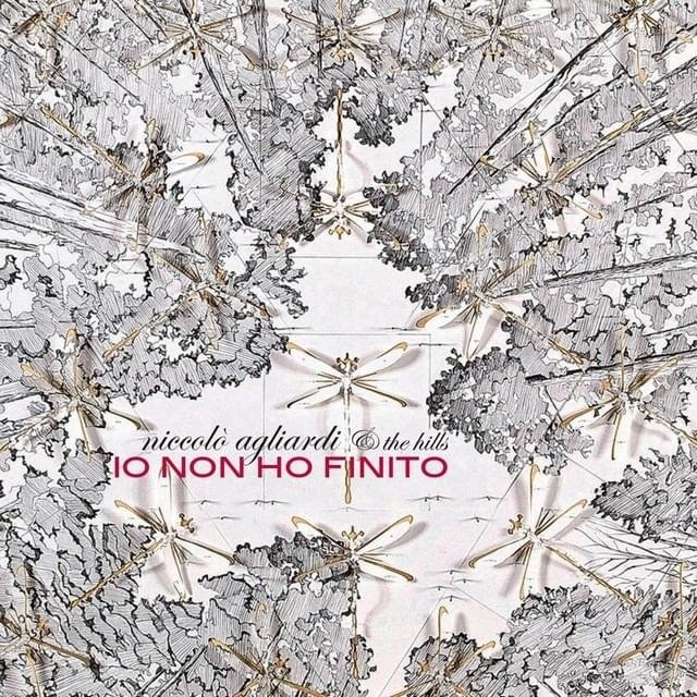 Cover dell'album 'Io non ho finito' di The Hills (gruppo), Niccolò Agliardi