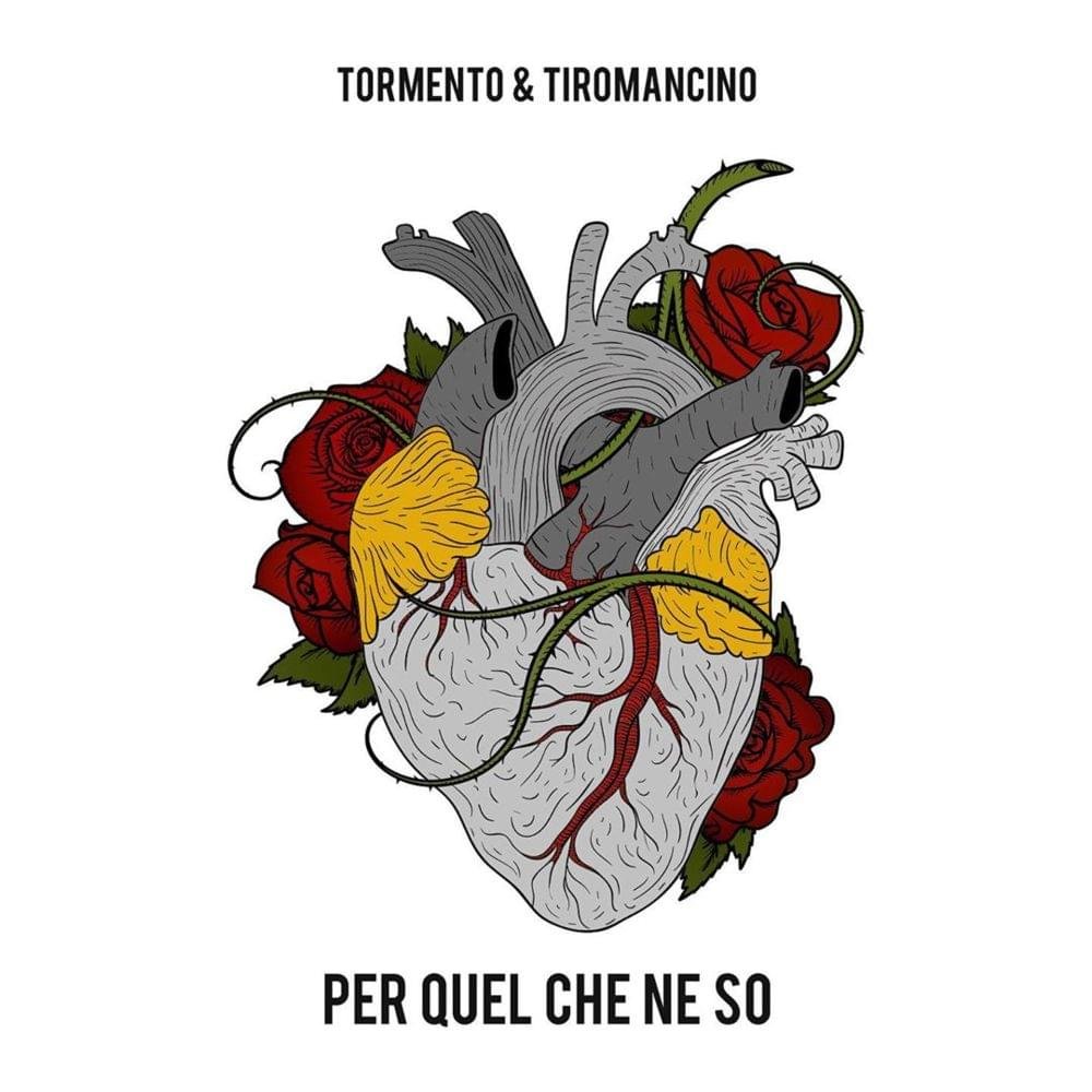 Cover della canzone 'Per quel che ne so' di Tiromancino, Tormento