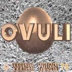 Cover della canzone 'Ovuli' di Wing Klan