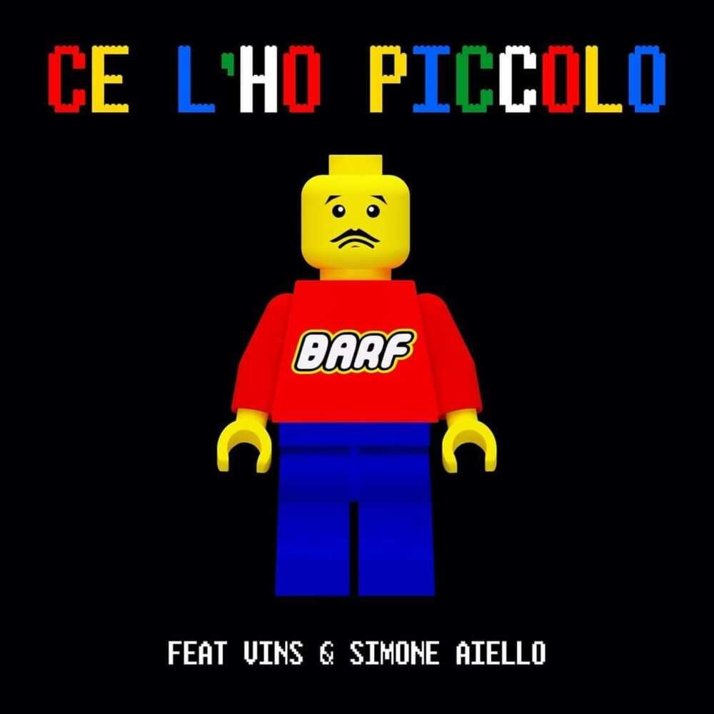 Cover della canzone 'Ce l’ho piccolo' di Barf ft. Simone Aiello, Vins (ITA)