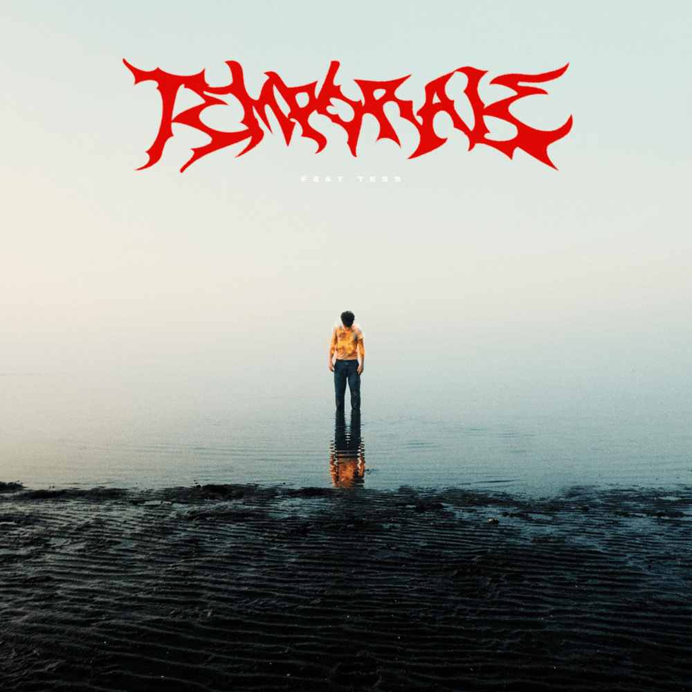 Cover della canzone 'Temporale' di DOBRO ft. Tess (ITA)