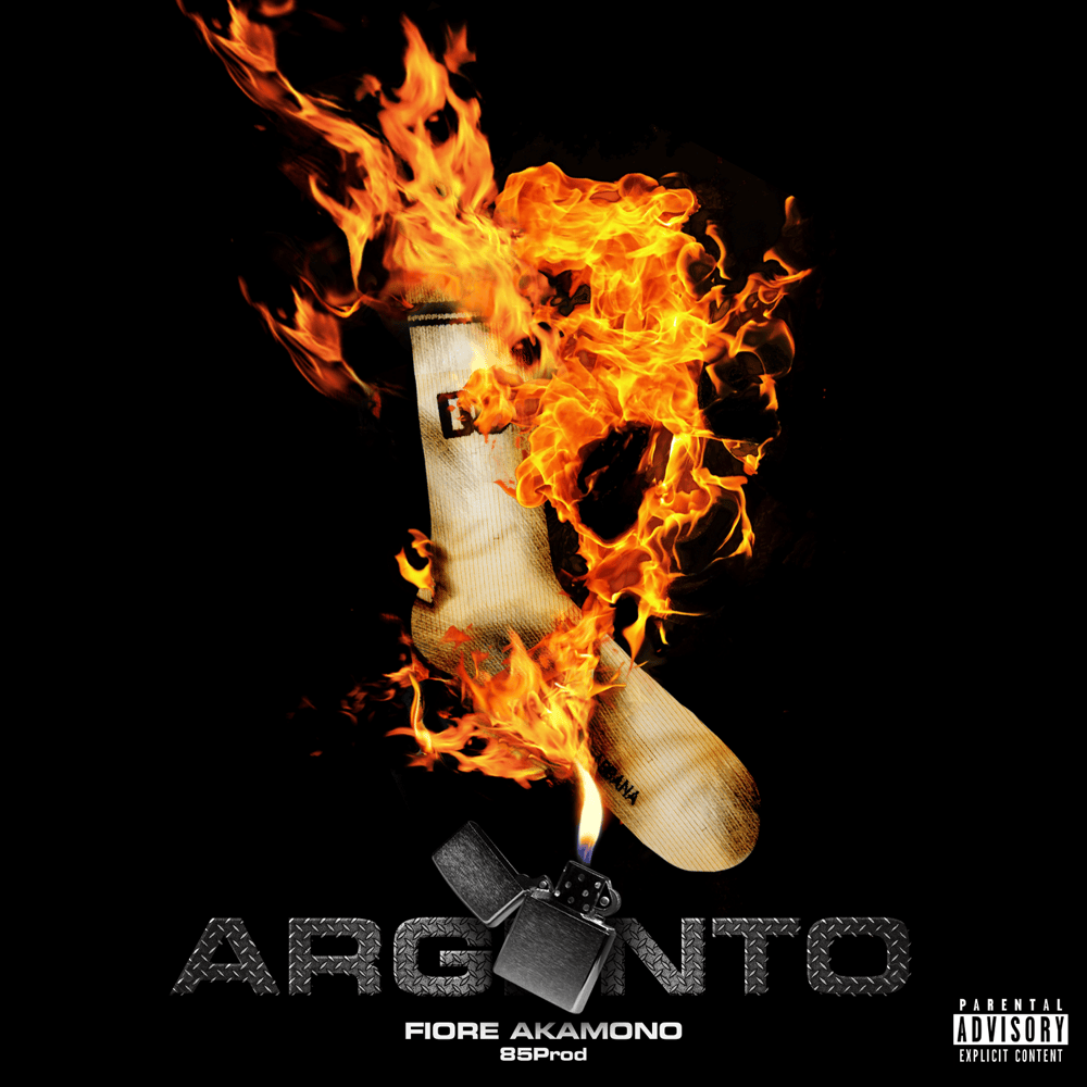 Cover della canzone 'ARGENTO' di Fiore Akamono