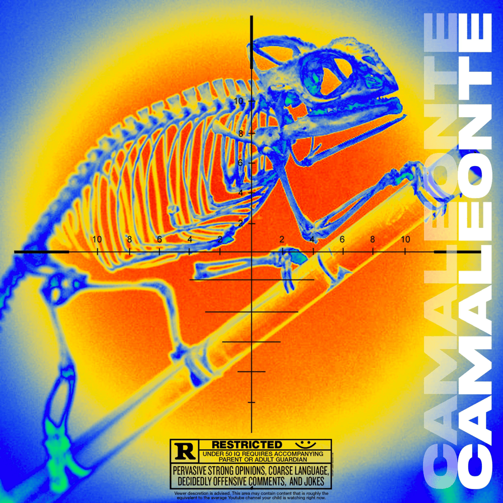 Cover della canzone 'CAMALEONTE' di Fiore Akamono