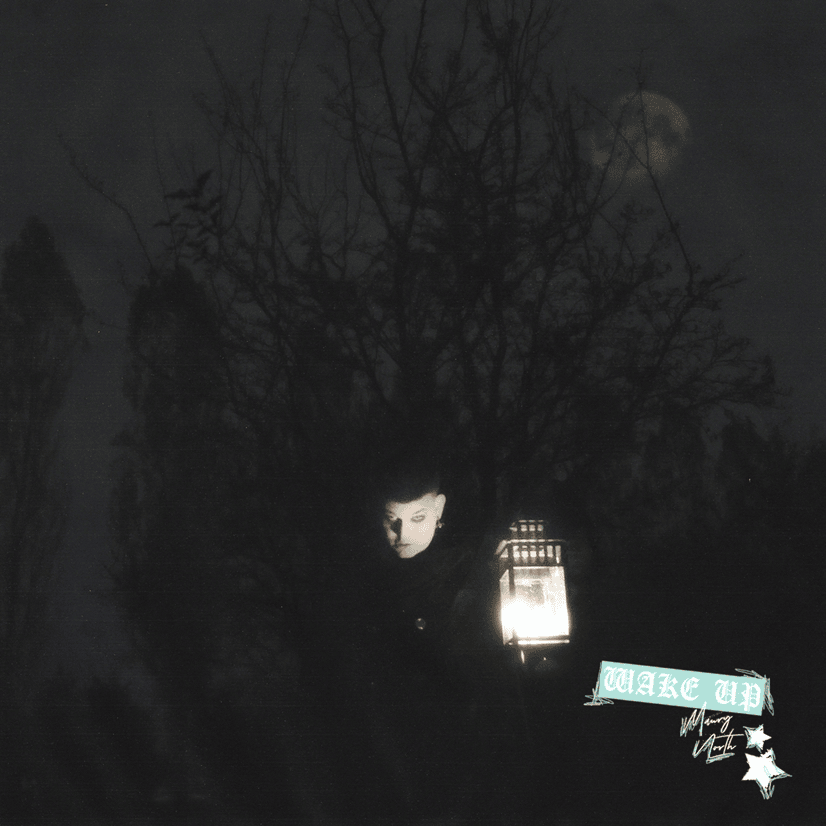 Cover della canzone 'WAKE UP' di Maury North