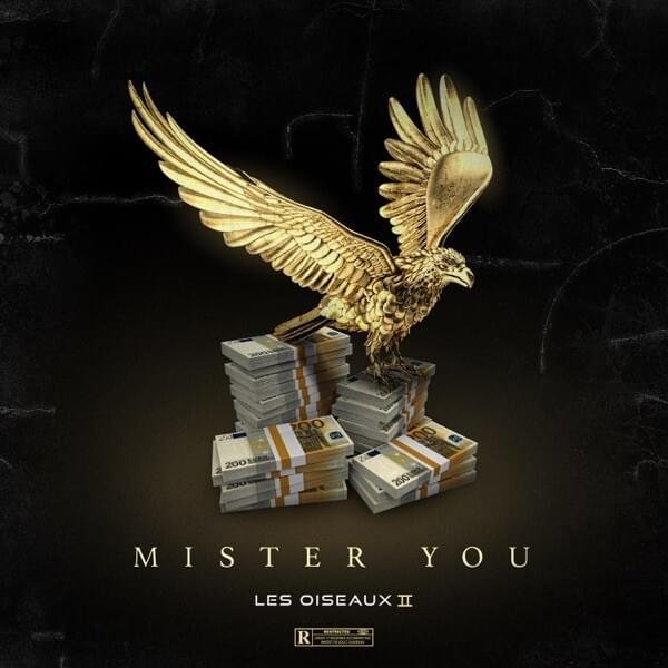 Cover dell'album 'Les oiseaux II' di Mister You
