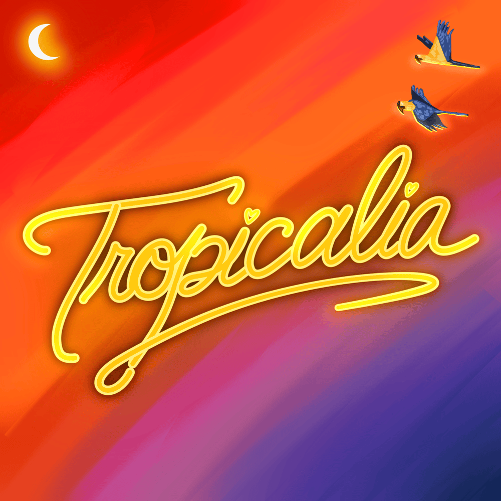 Cover della canzone 'TROPICALIA' di SKT ft. Gaia