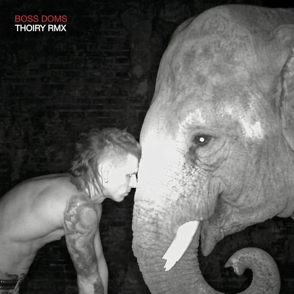 Cover della canzone 'THOIRY REMIX' di Boss Doms