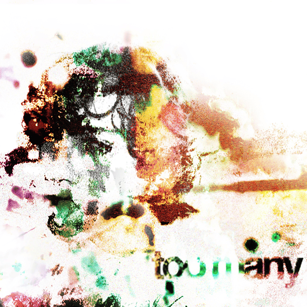 Cover della canzone 'Too Many' di 10k watt