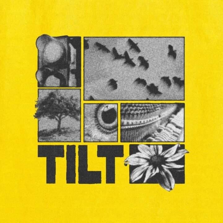 Testo di Tilt – Federica Abbate