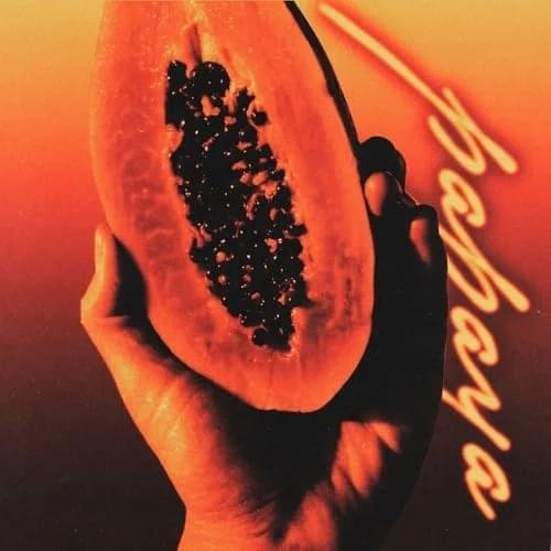 Cover della canzone 'PAPAYA' di MATILDE