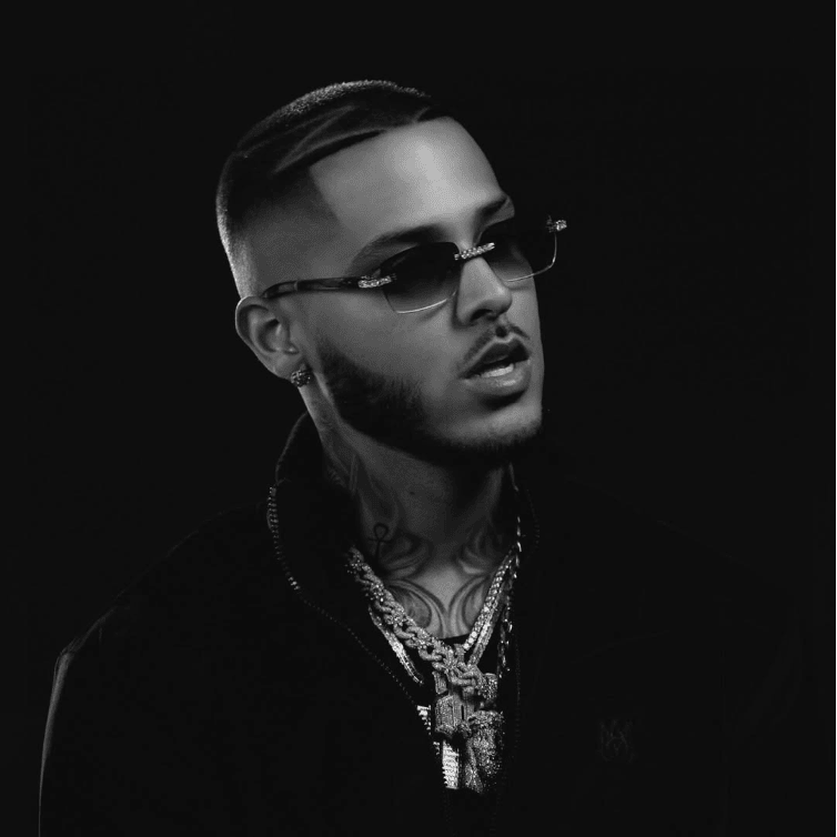 Foto di ROA, artista con ruolo nel rap italiano