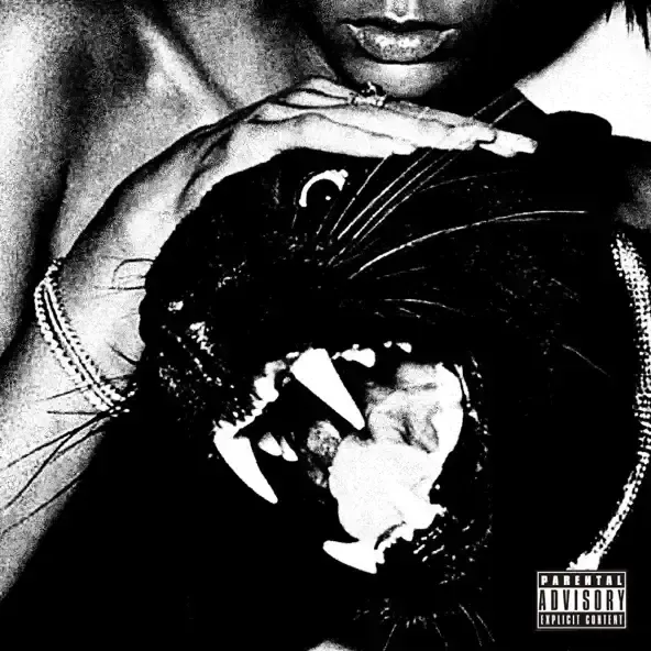 Cover della canzone 'PUMA' di Songop