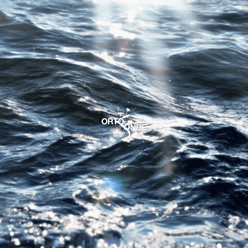 Cover dell'album 'ORTO / ONDE' di Various Artists