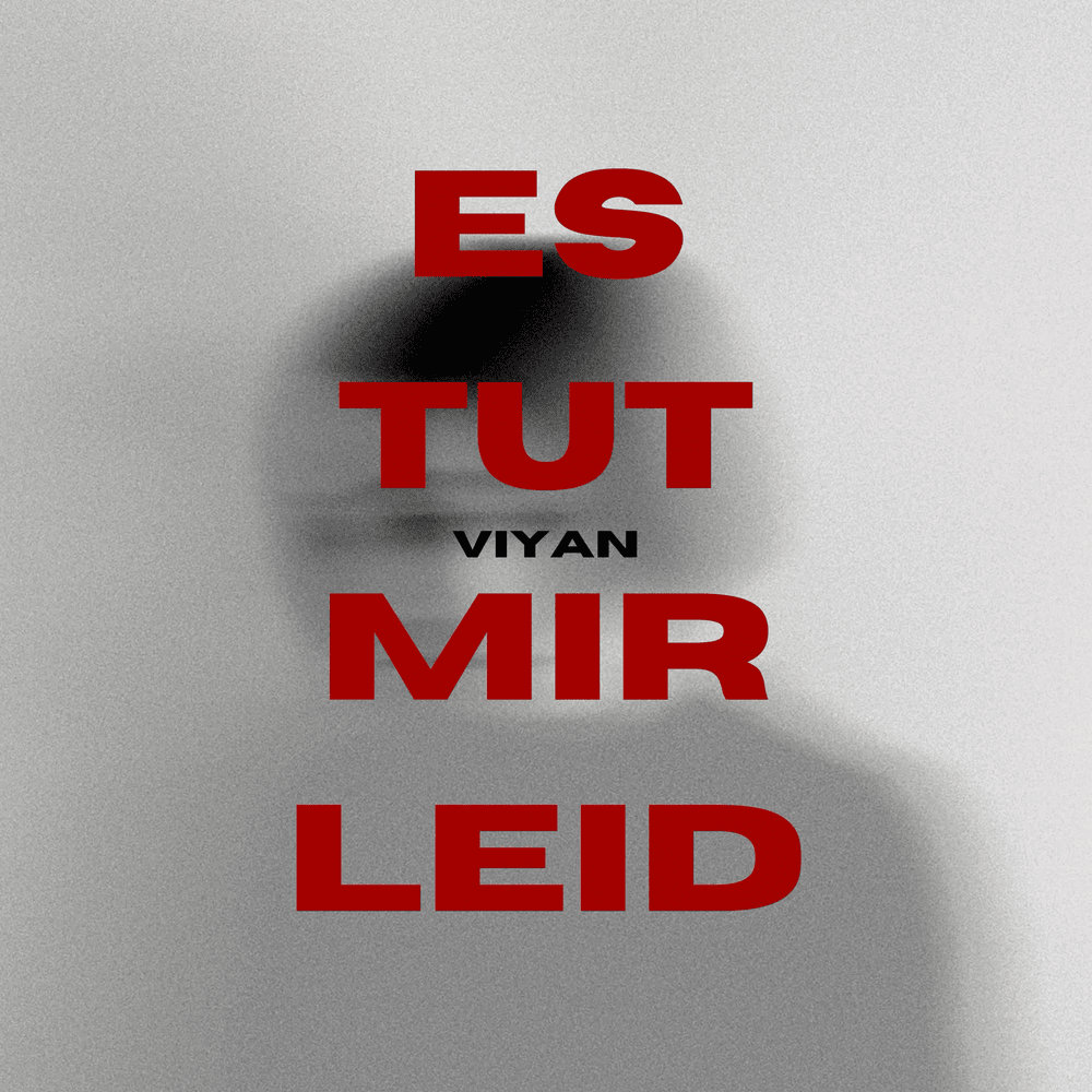 Testo di Es tut mir leid – VIYAN