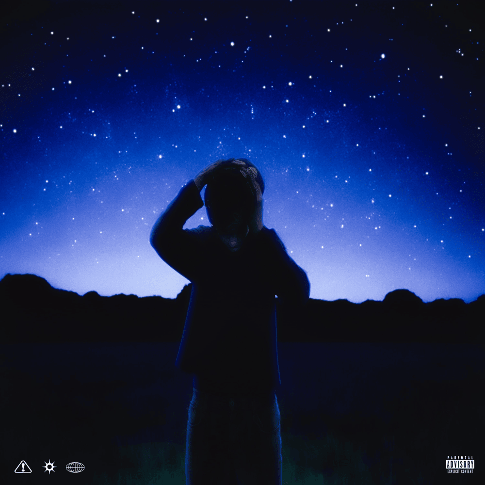 Cover della canzone 'Fireflies' di WhyTrevxr