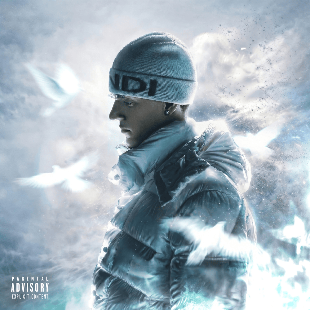 Cover dell'album 'Let Them Fly' di WhyTrevxr