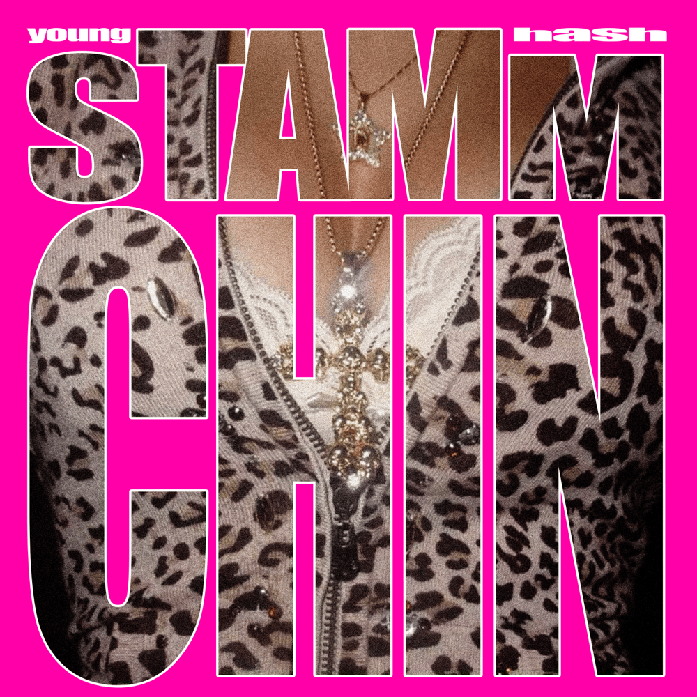 Testo e Significato di Stamm Chin – Young Hash